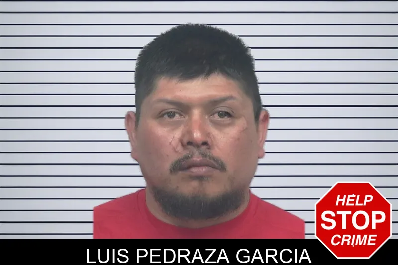 Luis Pedraza Garcia mugshot – Gwinnett County , Georgia Luis Pedraza Garcia mugshot