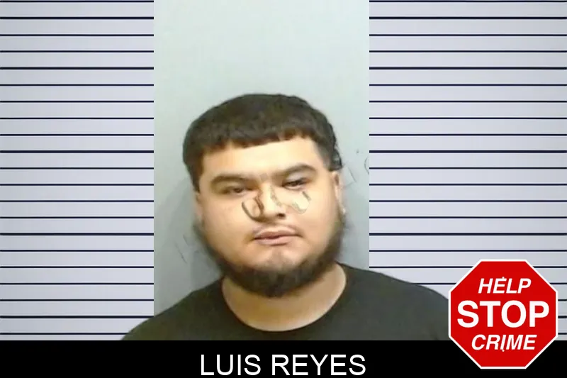 Luis Reyes mugshot