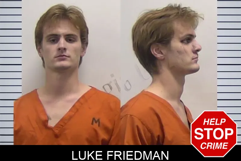 Luke Friedman mugshot – Clarke County , Georgia Luke Friedman mugshot