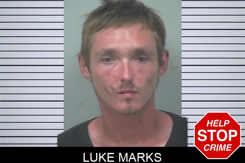 Luke Marks mugshot
