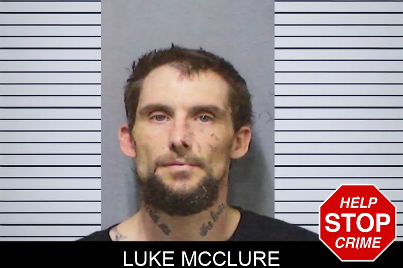 Luke McClure mugshot – White County , Georgia Luke McClure mugshot