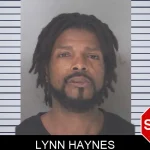 Lynn Haynes mugshot