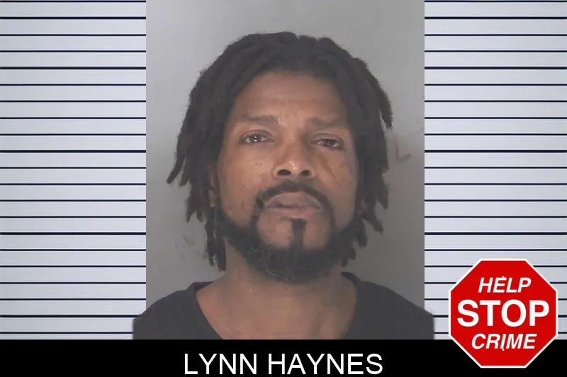 Lynn Haynes mugshot