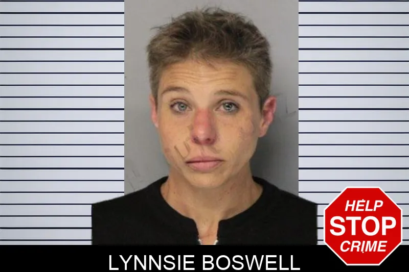 Lynnsie Boswell mugshot