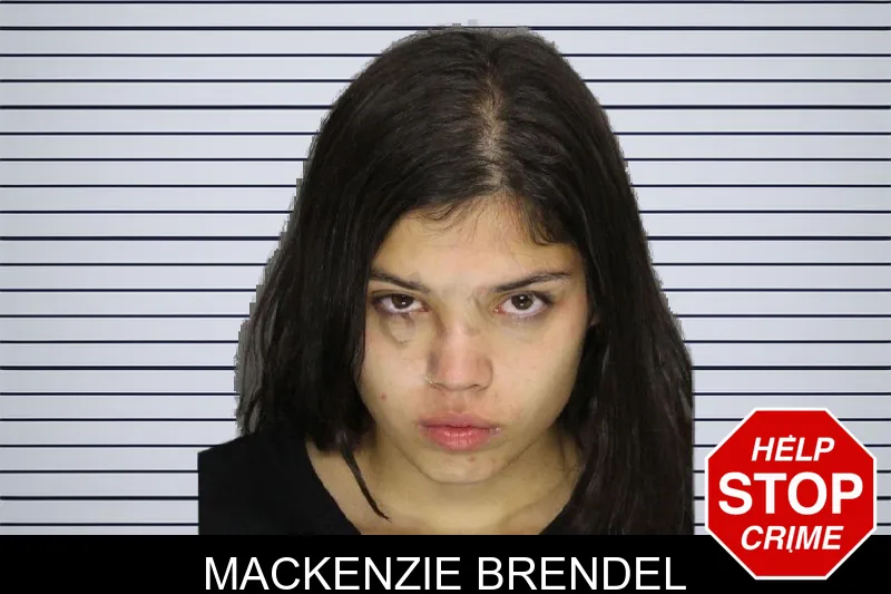 Mackenzie Brendel mugshot