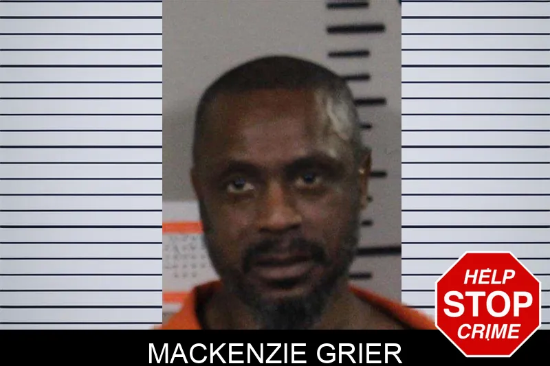 Mackenzie Grier mugshot