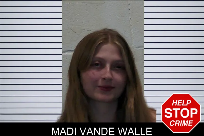 Madi Vande Walle mugshot – Pierce County , Georgia Madi Vande Walle mugshot