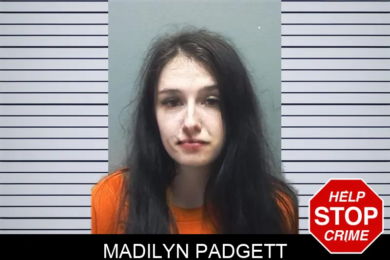 Madilyn Padgett mugshot – Cherokee County , Georgia Madilyn Padgett mugshot