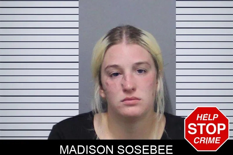 Madison Sosebee mugshot – White County , Georgia Madison Sosebee mugshot