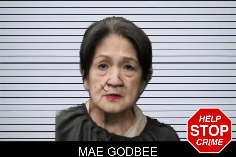 Mae Godbee mugshot – Forsyth County , Georgia Mae Godbee mugshot