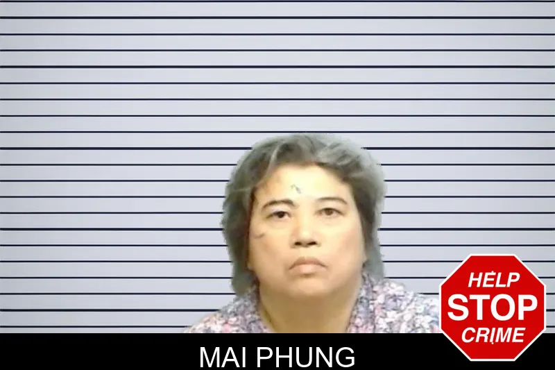 Mai Phung mugshot – Fulton County , Georgia Mai Phung mugshot