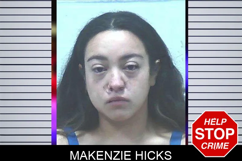 Makenzie Hicks mugshot – Jackson County , Georgia Makenzie Hicks mugshot
