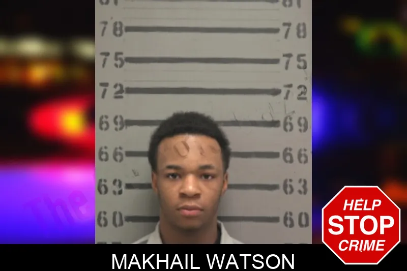 Makhail Watson mugshot – Dougherty County , Georgia Makhail Watson mugshot