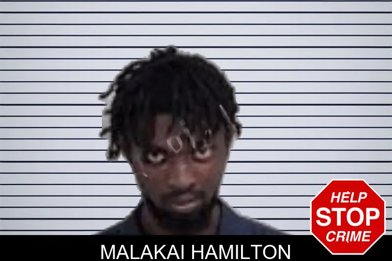 Malakai Hamilton mugshot – Lowndes County , Georgia Malakai Hamilton mugshot