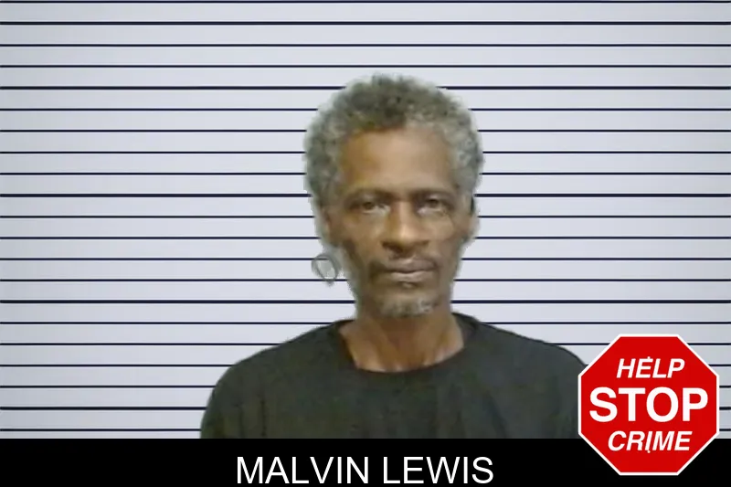 Malvin Lewis mugshot