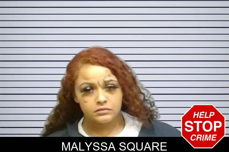 Malyssa Square mugshot – Fulton County , Georgia Malyssa Square mugshot