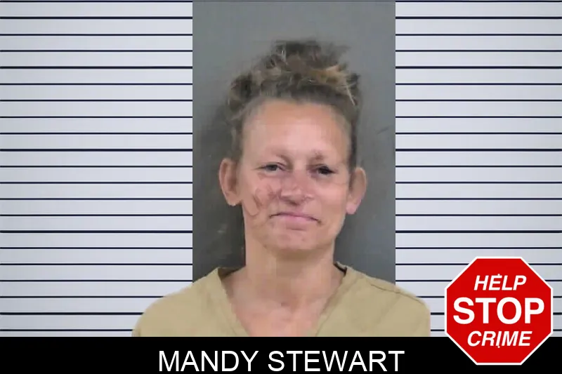 Mandy Stewart mugshot – Gordon County , Georgia Mandy Stewart mugshot