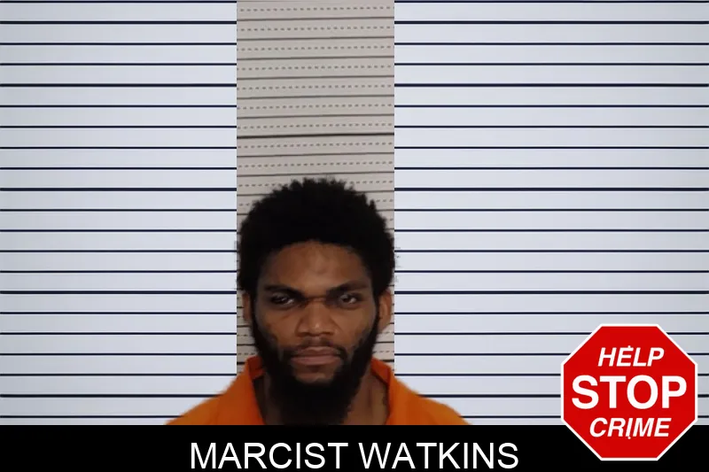 Marcist Watkins mugshot – Rockdale County , Georgia Marcist Watkins mugshot