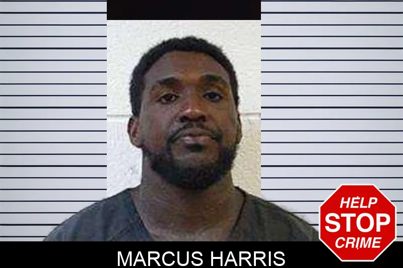 Marcus Harris mugshot