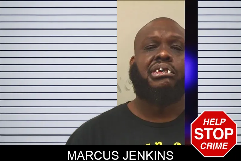 Marcus Jenkins mugshot – Bleckley County , Georgia Marcus Jenkins mugshot