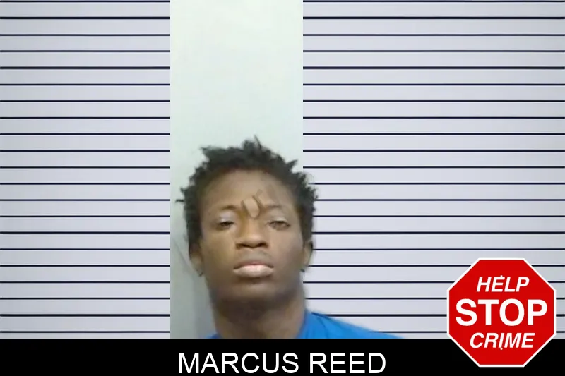 Marcus Reed mugshot