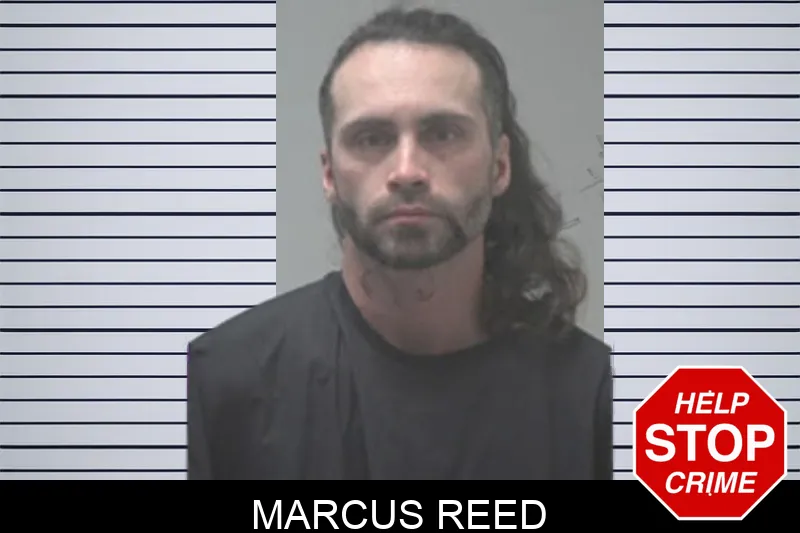 Marcus Reed mugshot – Coweta County , Georgia Marcus Reed mugshot