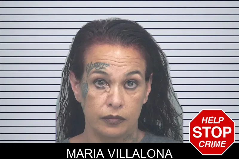 Maria Villalona mugshot – Gwinnett County , Georgia Maria Villalona mugshot