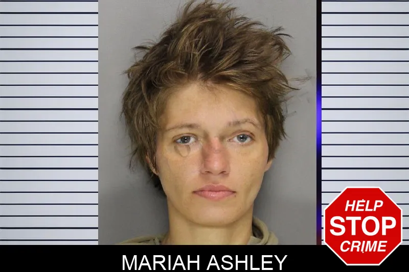 Mariah Ashley mugshot – Cobb County , Georgia Mariah Ashley mugshot