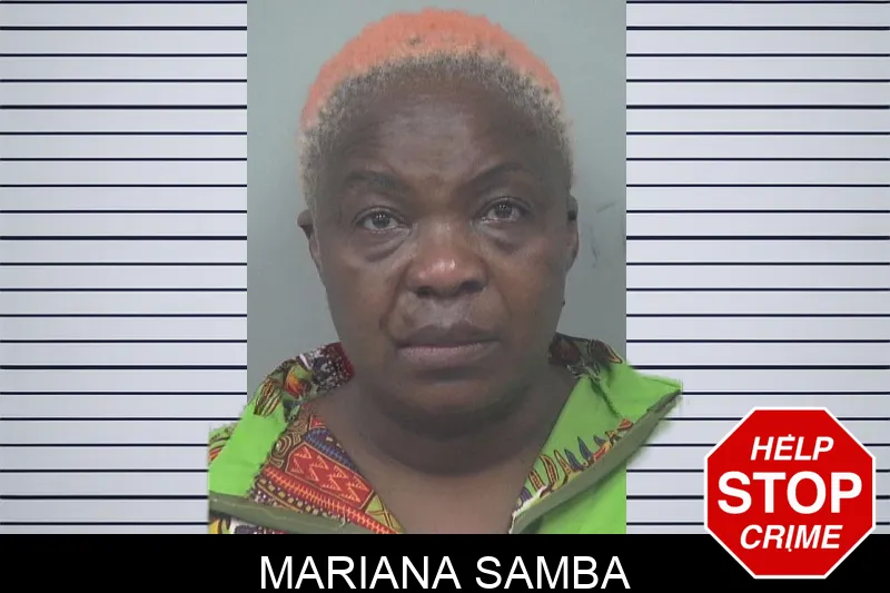 Mariana Samba mugshot – Gwinnett County , Georgia Mariana Samba mugshot