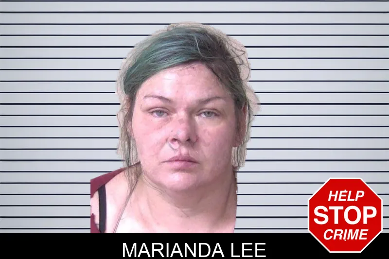 Marianda Lee mugshot – Walker County , Georgia Marianda Lee mugshot