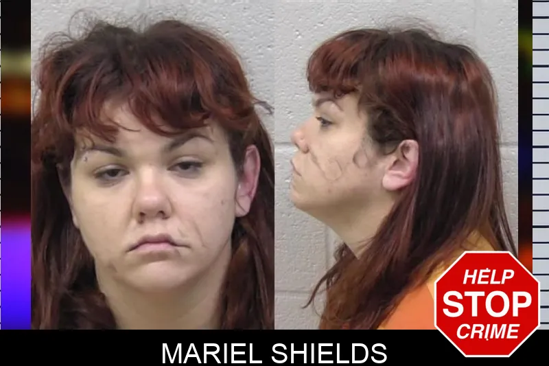 Mariel Shields mugshot – Paulding County , Georgia Mariel Shields mugshot