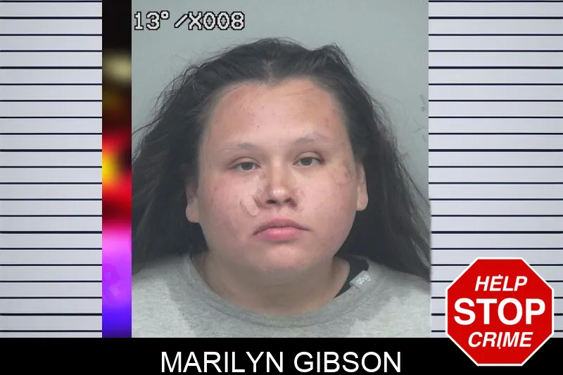 Marilyn Gibson mugshot – Gwinnett County , Georgia Marilyn Gibson mugshot