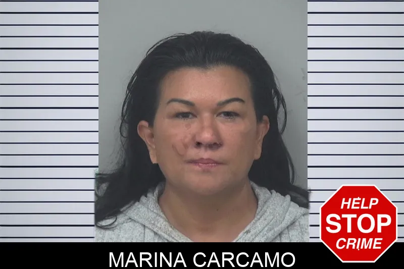 Marina Carcamo mugshot – Gwinnett County , Georgia Marina Carcamo mugshot