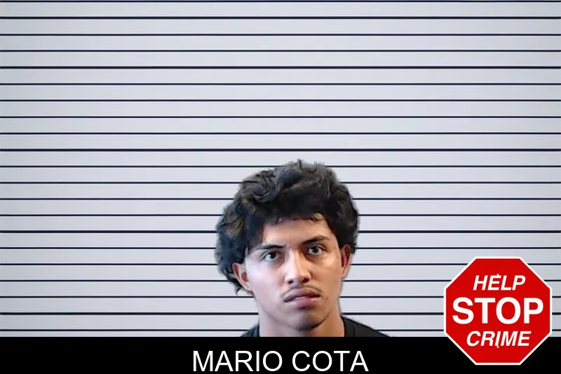 Mario Cota mugshot – DeKalb County , Georgia Mario Cota mugshot