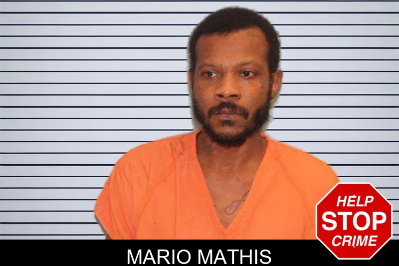 Mario Mathis mugshot – Grady County , Georgia Mario Mathis mugshot
