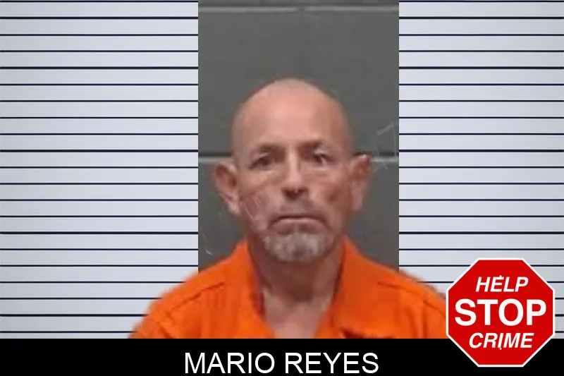 Mario Reyes mugshot