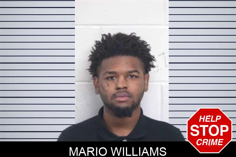 Mario Williams mugshot – Washington County , Georgia Mario Williams mugshot
