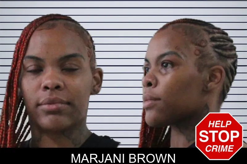 Marjani Brown mugshot