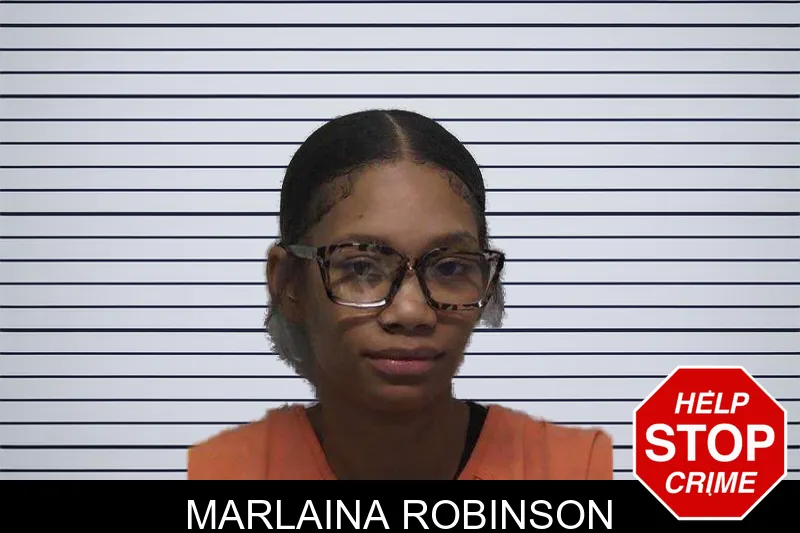Marlaina Robinson mugshot – Laurens County , Georgia Marlaina Robinson mugshot