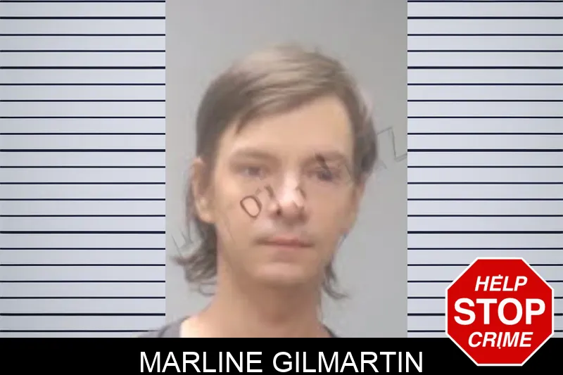Marline Gilmartin mugshot – Muscogee County , Georgia Marline Gilmartin mugshot