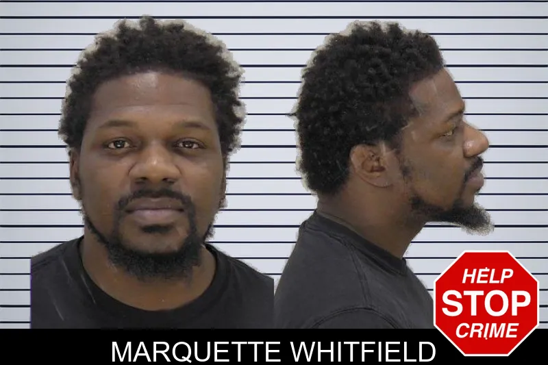 Marquette Whitfield mugshot