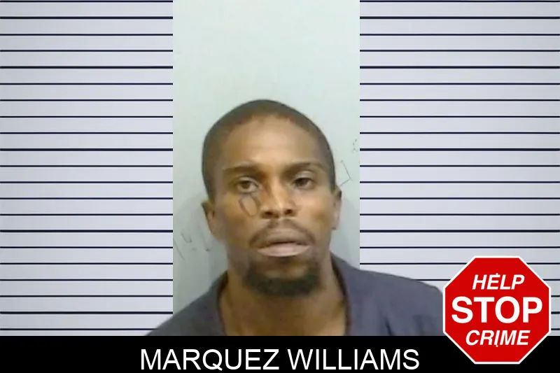 Marquez Williams mugshot