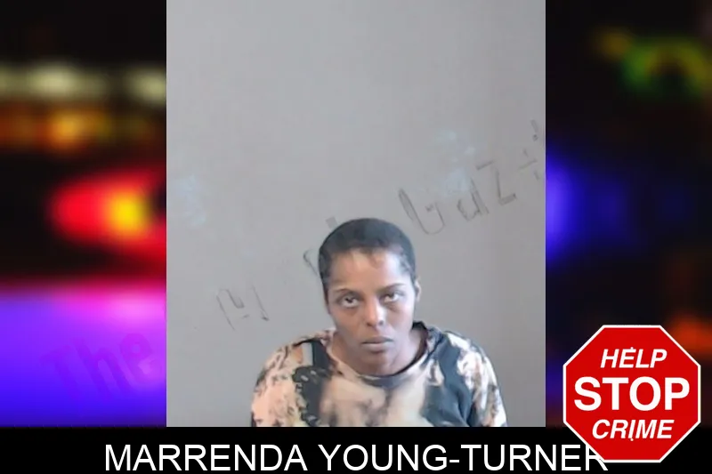 Marrenda Young-Turner mugshot – DeKalb County , Georgia Marrenda Young-Turner mugshot