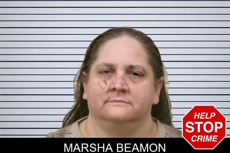 Marsha Beamon mugshot – Bulloch County , Georgia Marsha Beamon mugshot