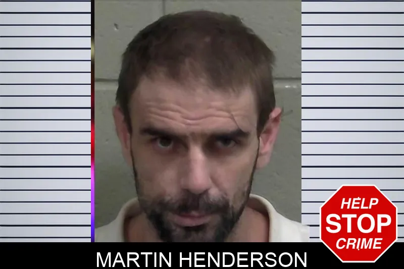 Martin Henderson mugshot