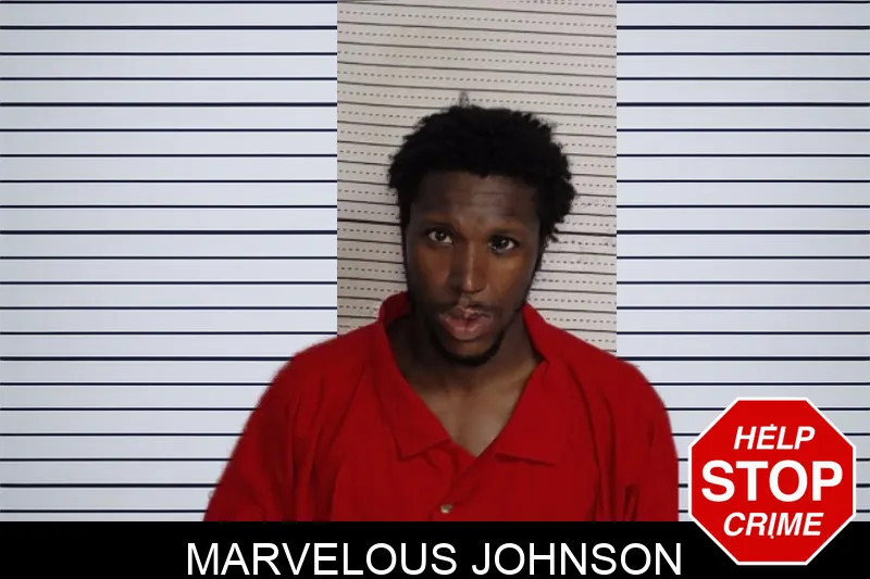 Marvelous Johnson mugshot