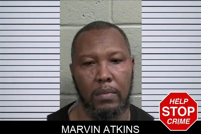 Marvin Atkins mugshot – Wayne County , Georgia Marvin Atkins mugshot