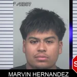 Marvin Hernandez mugshot – Gwinnett County , Georgia Marvin Hernandez mugshot