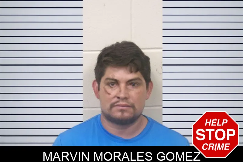 Marvin Morales Gomez mugshot – Bulloch County , Georgia Marvin Morales Gomez mugshot