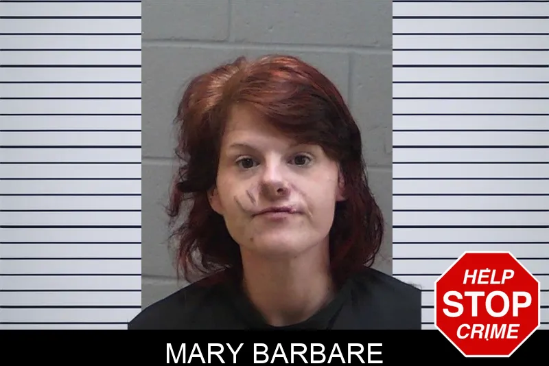 Mary Barbare mugshot – Madison County , Georgia Mary Barbare mugshot